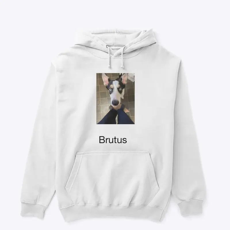 The Brutus pup collection 